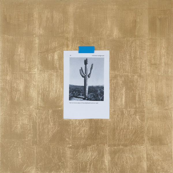 Ramsey Dau | PICDIT