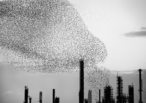 Photography by Massimo Cristaldi #inspration #photography #art
