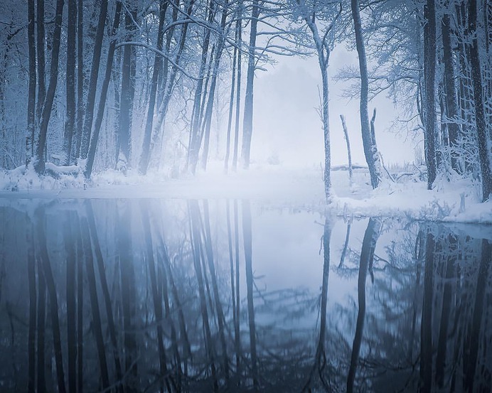 Photographer Arbo Rae Captures The Beauty of Estonia in Winter