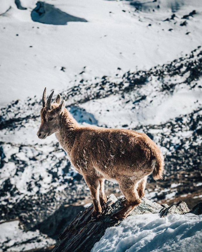 Beautiful Mountain Adventure Photography by Silvan Widmer