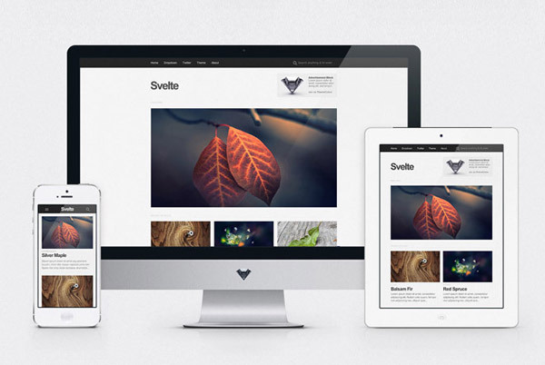 Free Minimalist Portfolio WordPress Themes
