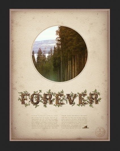 Eastern Design Bureau #muir #wood #forever #sierra #forest