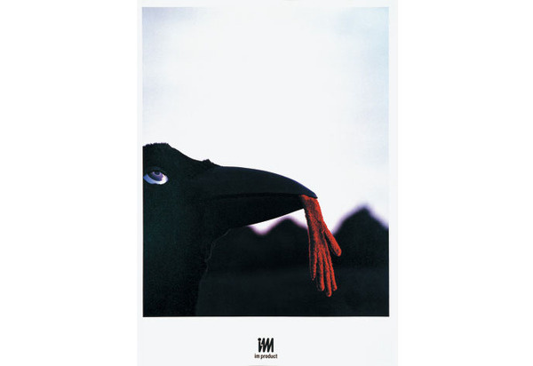 Don't Talk about Colors | WORKS | HARA DESIGN INSTITUTE #japanese #book #bird #photography #fashion