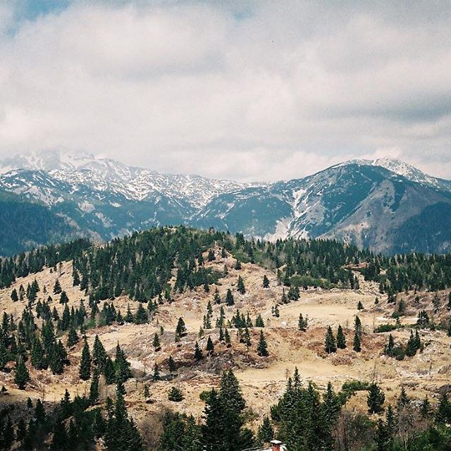 “The mountains are calling and I must go.” - John Muir Viljamovka Zima. Available to order online via Flaviar (link in bio).⠀⠀ .⠀⠀ .⠀⠀ .⠀ #pearbrandy #viljamovka #zima #culture #landscape #sunny #day #good #mood #yolo #nature #lover #blue #sky #winter #snow #chill #view #perfect #time #relax #yugoslavia #johnmuir