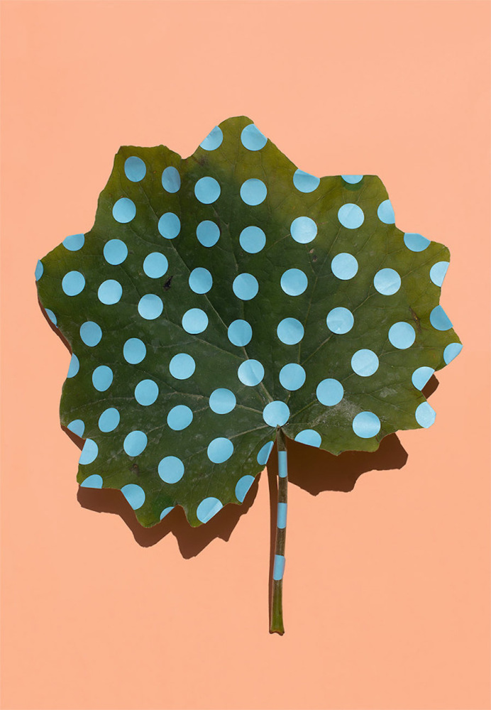Wonderplants Art Project