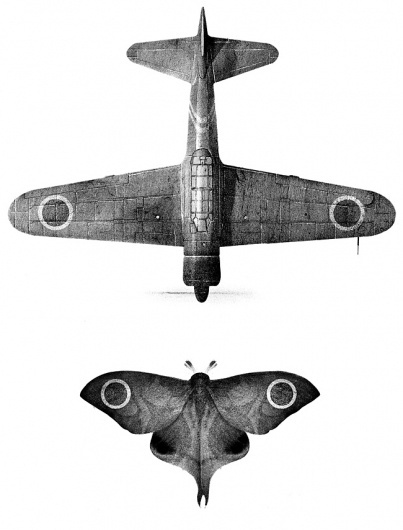 Yamamoto | Sam Weber #moth #illustration #airplane