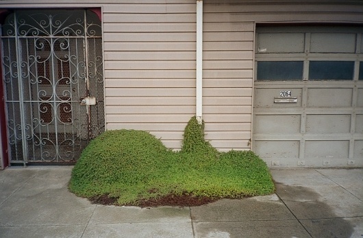 Orphans. - Russian Carpet: Daily inspiration, trends, mood board. Architecture, art, design, fashion, photography. #urban #pavement #tree #design #russian #photography #carpet #orphans #green