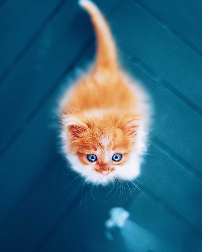 Stunning Colorful Instagrams by Kristina Makeeva