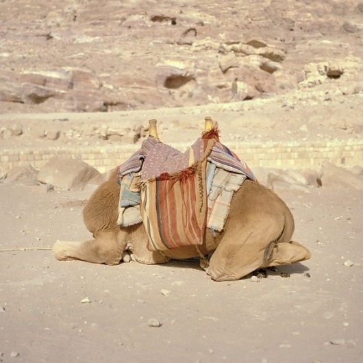 One to Nothing by Irina Rozovsky » Creative Photography Blog #inspiration #photography