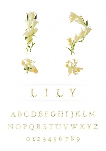 Novo Typo - LILY - Type specimen #novo #design #typeface #typo #typography