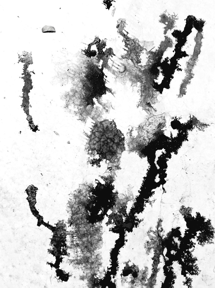 #texture © [ catrin mackowski ]