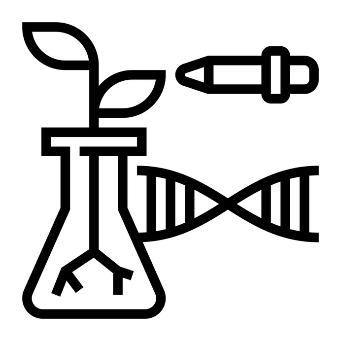 See more icon inspiration related to plant, leaf, gmo, biotechnology, flasks, cells, experiment, molecules, flask, genetics, engineering, education, leaves and nature on Flaticon.