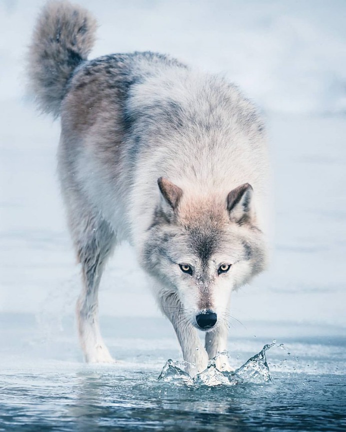 Wonderful Natural Landscapes in Canada by Martina Gebarovska
