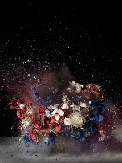 but does it float #photo #explosion #photography #flowers