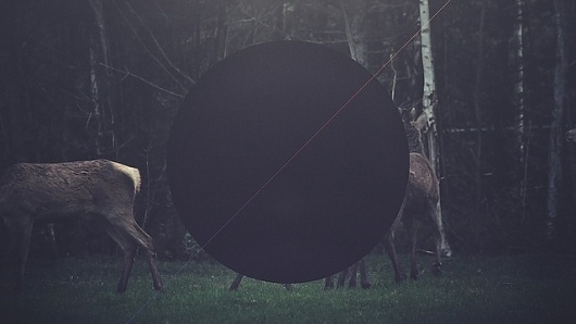 Matta - Release The Freq | Flickr - Photo Sharing! #deer #design #massa #video #photography #music
