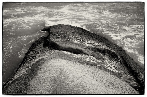 moleskine #photography #sea