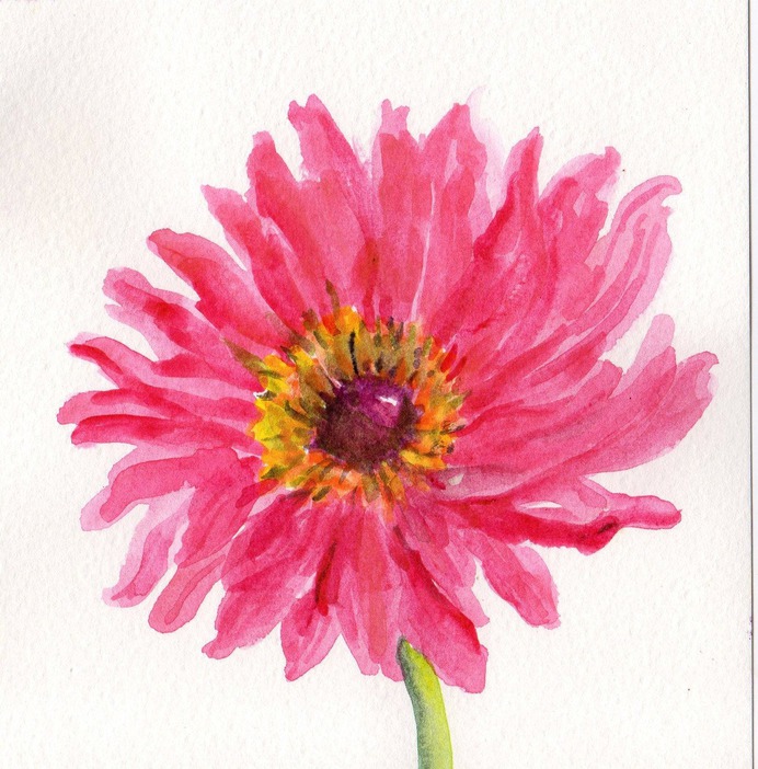daisy painting & daisy paint by number #painting