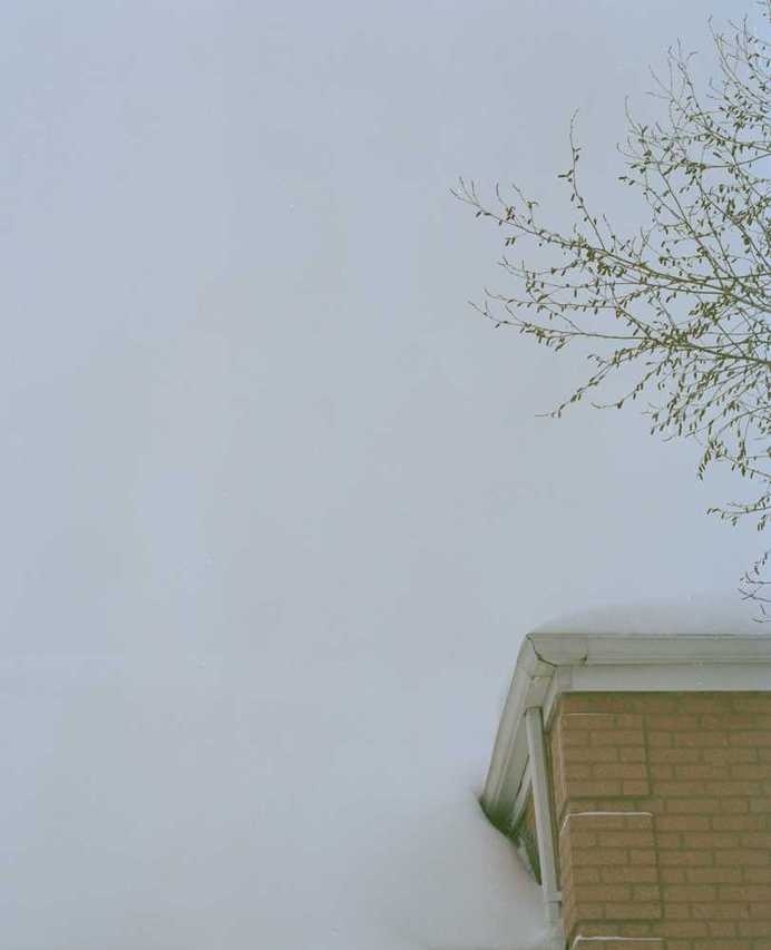 Photography by Samantha Friend #inspiration #photography #art