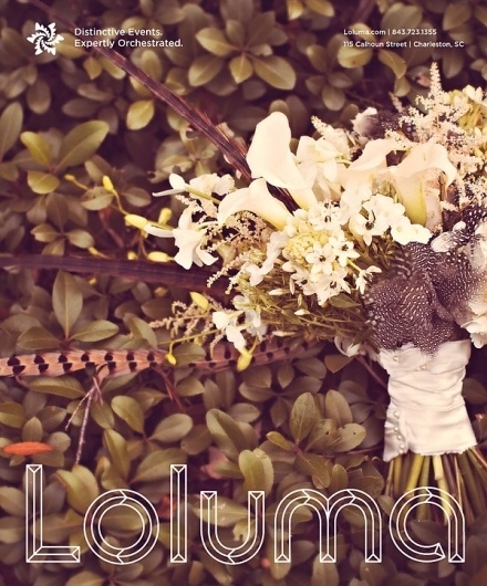 Visualize blog #loluma #planner