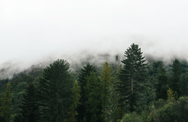 Brooke Holm #photography #landscape