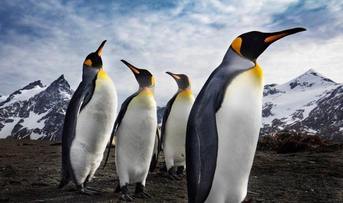 Beautiful Nature Photography by National Geographic Photographer Michael Melford