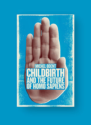 book cover - childbirth and the future of homo sapiens
