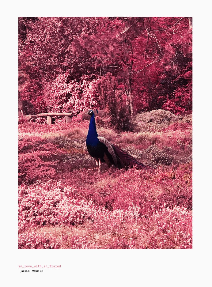 in_love_with_in_frared
©
[ catrin mackowski ]