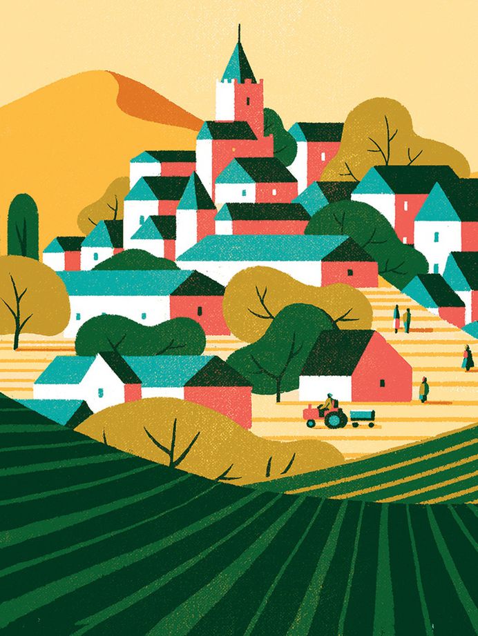 Archer Farms – COLLINS #illustration