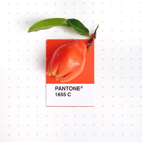 Tiny PMS Match | PICDIT #design #color #pantone #art #colour
