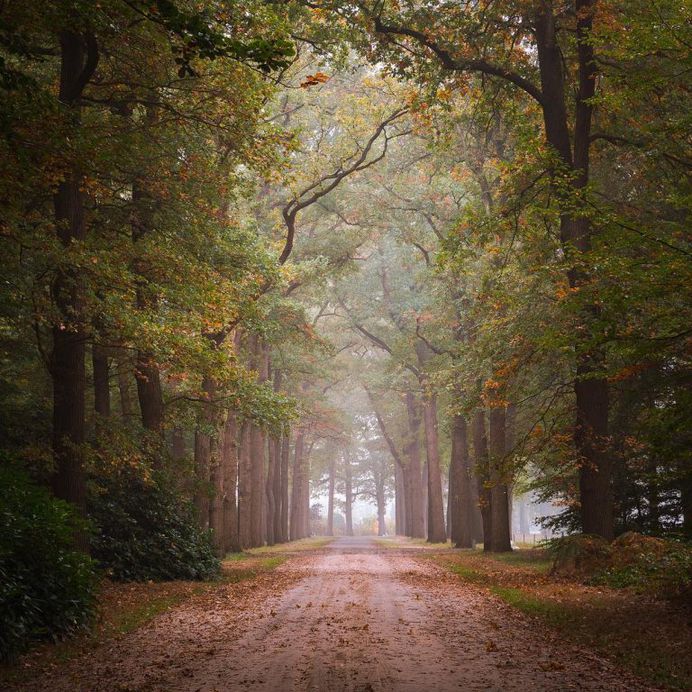 Ronald Jansen Captures the Beauty of Netherlands Through Stunning Landscapes