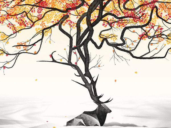 Dave Matthews Band // Toronto, Canada Poster #poster