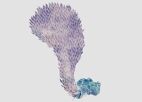 FFFFOUND! | #camera