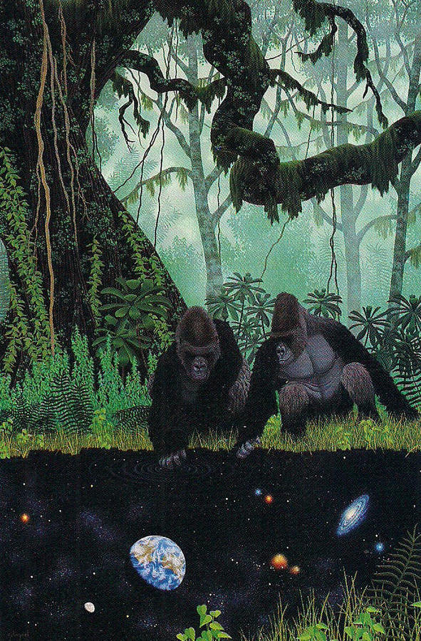 SHAAKA #gorillas