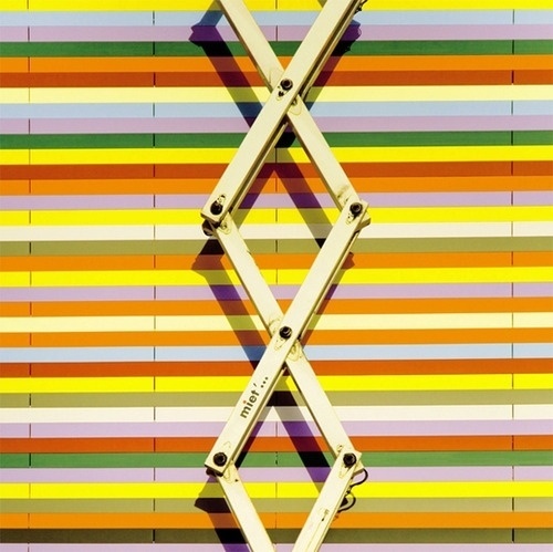 Wall-B World Wild #heiderich #photography #colour #matthias