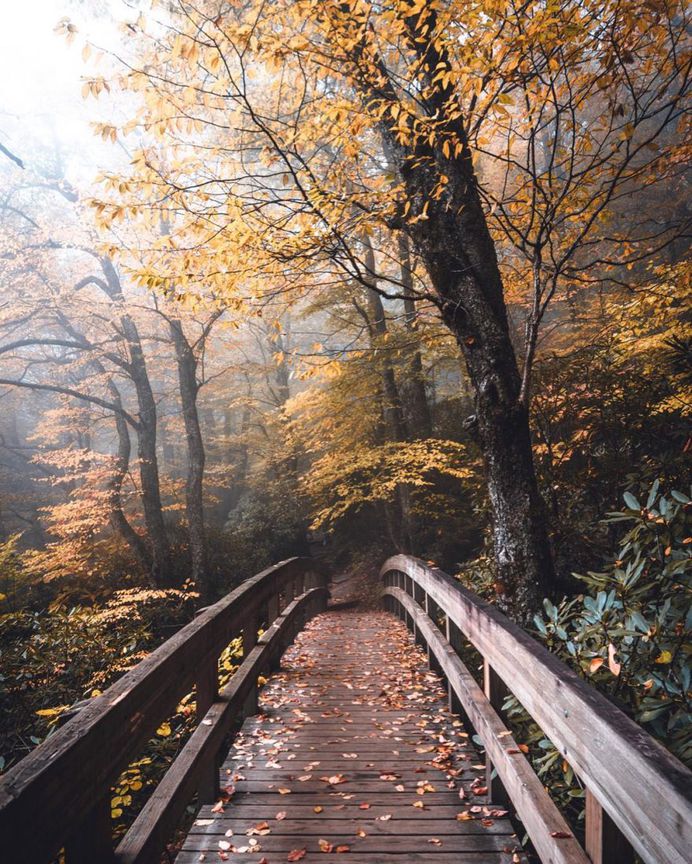 Moody and High Contrast Landscape Photography by Lewis Hackett