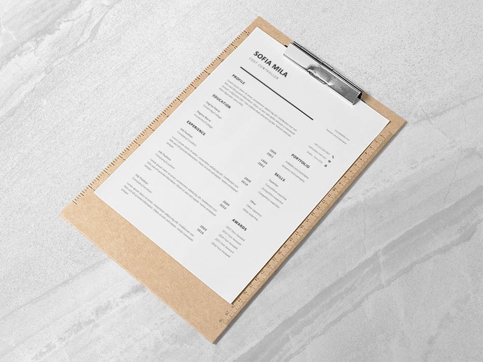 Free Cost Controller Resume Template with Example for Job Seeker