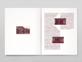 DANIEL PETER — herrpeter.ch
