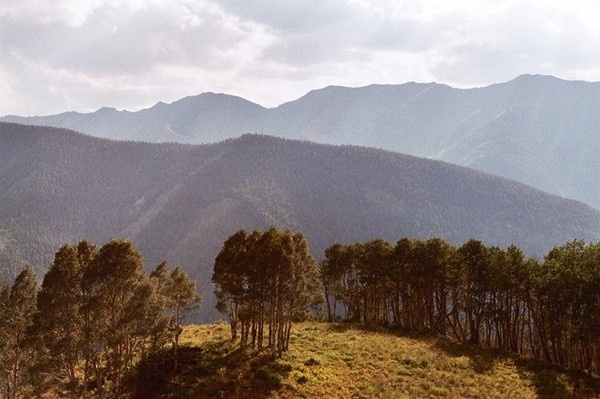 http://trevortriano.com/files/gimgs/th-16_16_aspen_v2.jpg #analog #trevor #triano #colorado #summer #aspen #mountains #trees