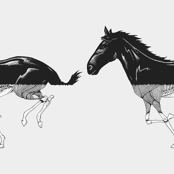 Horse by estudioself #ink #horse #zombie #illustration #dead #bones #drawing