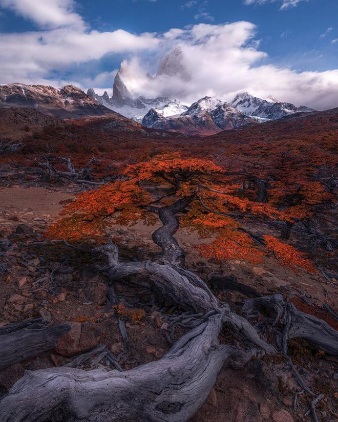 Majestic Nature and Landscape Photography by Greg Boratyn