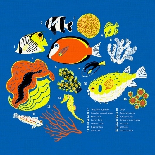 Reef t-shirt by ~chibighibli on deviantART