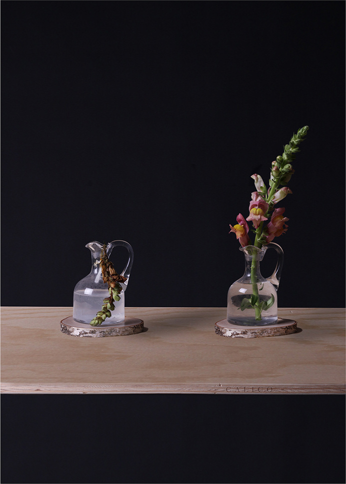 Calico, from Time Capsule (2014) Artist: Isabel Sierra y Gómez de León http://isabelsierraygomezdeleon.com/post/91656261513/timecapsule #color #composition #technology #photography #art #flower #still #shelf #life