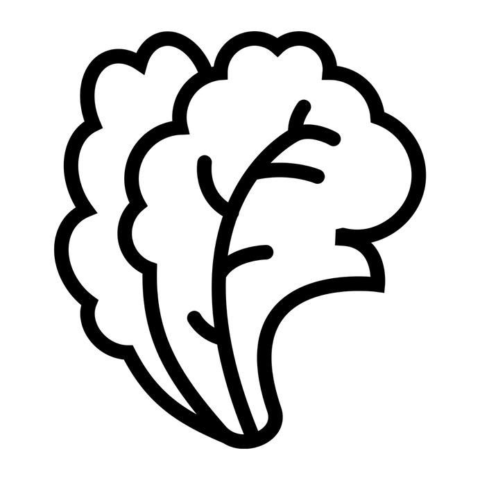 See more icon inspiration related to salad, food, vegetable, vegetables, greens and cabbages on Flaticon.