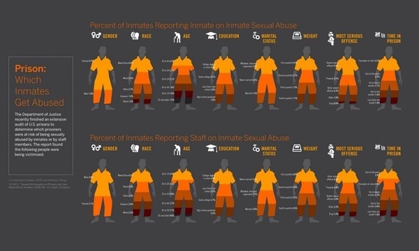 Inmate Abuse Infographic #infographic
