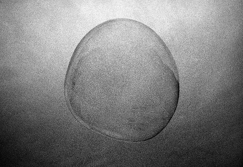 Toutes les tailles | Sans titre | FlickrÂ : partage de photosÂ ! #photography #grain