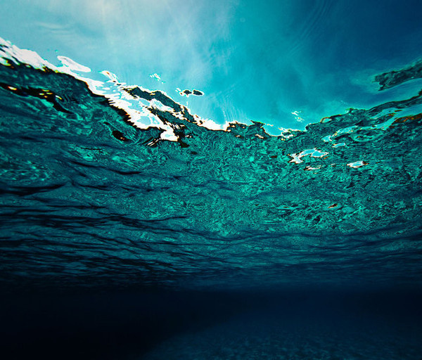 Underwater Photography by Kurt Arrigo #inspiration #photography #underwater