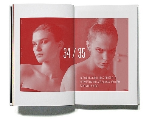 » _ Flickrgraphics #layout #design #graphic #typography