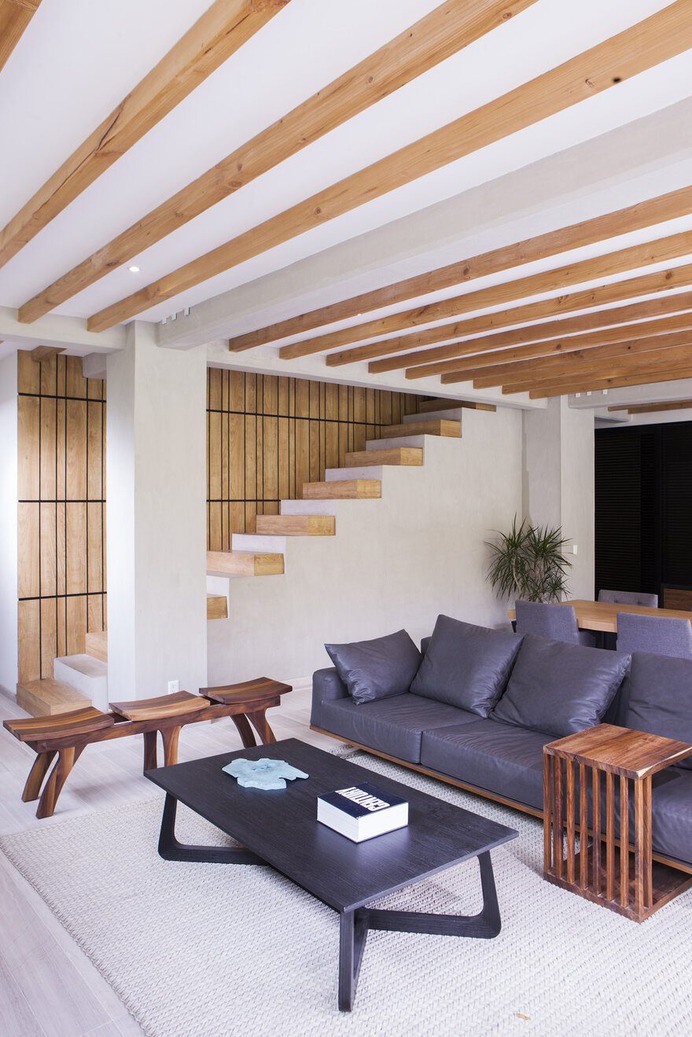 Paseo de las Lilas House / Taller David Dana