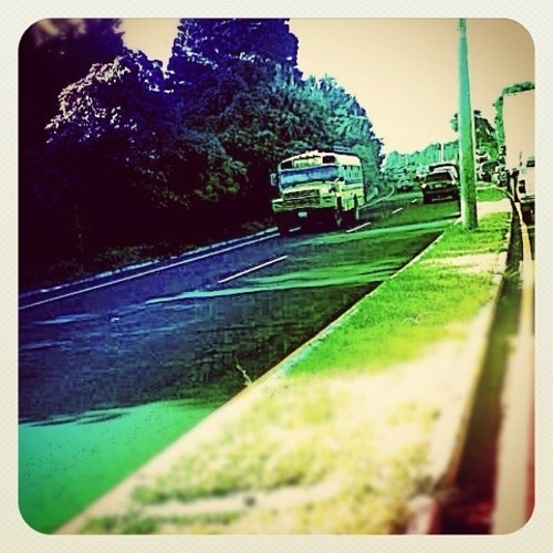 Cardenal #vintage #road