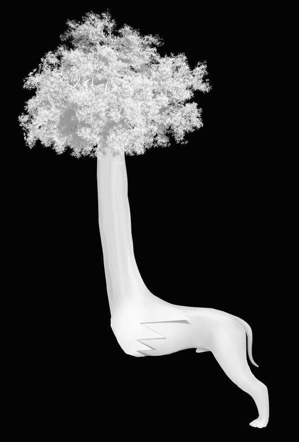 Piotr Buczkowski | Foragepress.com #surrela #black #white #poster